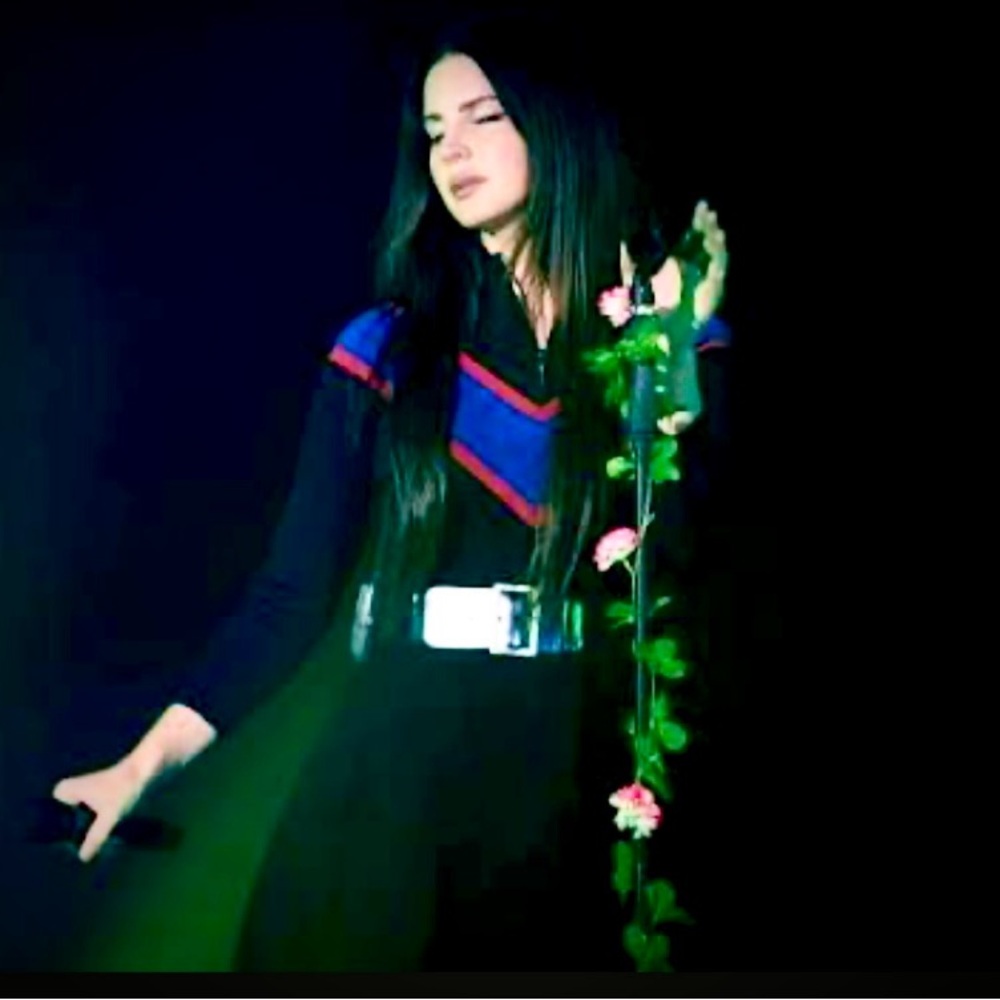 Rare LANA DEL REY Sandro Chevron Black Knit Dress (L) - Picture 14 of 14